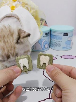 千万别被猫咪嘴巴臭臭给熏到啦赶紧看看这个款洁牙冻干#猫咪零食#猫咪洁牙#猫咪日常#一家之言 #一家之言洁牙