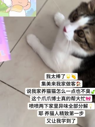 养猫家里臭臭没关系!用对好东西就行✌️(^▽^)✌️#养猫好物 #爪爪博士#懒羊羊 #我太棒了吧