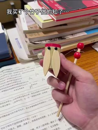 这玩意能把人搞崩溃哈哈哈#好玩 #有趣的知识又增长了 #知了 #解压玩具