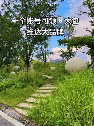 维达抽纸组合的大羊毛来了!到手6大包才这个价!不抢白不抢!快薅呀! #维达 #抽纸 #超便宜超划算 #好用的大包纸巾推荐
