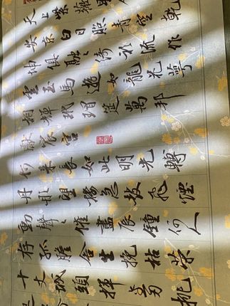 写字是一种享受#原创视频 #书法 #写字是一种乐趣和享受