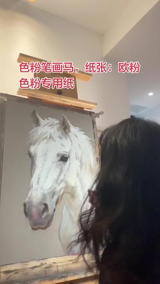 喜欢马,用粉彩(色粉笔)画马,纸张:欧粉
