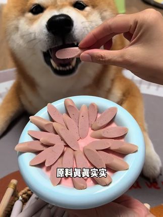 不要给小猫小狗吃人吃的火腿肠了,这个9块9到手40根的宠物火腿肠很划算!#鸭肉鳕鱼肠 #养狗经验分享 #狗零食 #猫零食