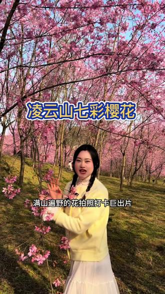 南充的朋友们又到了赏樱花的时候了就在凌云山的七彩樱花谷 #凌云山七彩樱花谷 #七彩樱花谷南充春节踏青赏花#南充春节去哪儿玩#南充春节周边