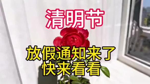 清明假期来了!2026年放假时间一目了然