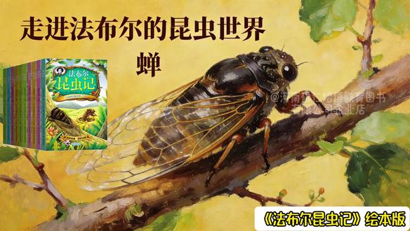 蝉的一生能给孩子带来怎样的启发? 今天让我们走进法布尔的昆虫世界——蝉。#法布尔昆虫记注音版 #蝉的一生 #睡前小故事