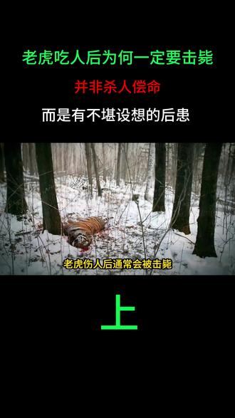老虎吃人后为何一定要击毙?并非杀人偿命,而是有不堪设想的后患