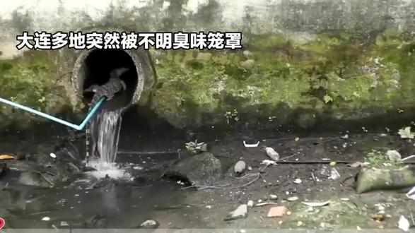 #上热门 大连多地被臭味笼罩引发广泛关注#城市环境 #臭味 #污染 @