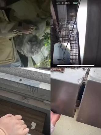 猫咪被困管道三天,主人想尽办法无法把猫咪救出来,联系到我们团队成功救援。#猫 #猫咪救援行动 #猫咪救援 #猫咪跑丢了 #找猫