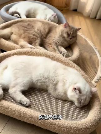 好看的剑麻沙发窝,满足了猫咪各项所需,不仅便宜颜值还高!#猫抓板 #宠物沙发 #猫窝