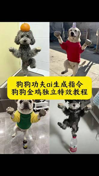 十年功夫无人知 狗狗功夫ai生成指令 狗狗金鸡独立特效教程 狗子练武ai生成口令 狗狗金鸡独立ai指令 叶问蹲ai特效教程 宠物金鸡独立ai指令 狗子练武ai免费生成 狗子练武ai制作教程 狗狗打拳ai指令 ai生成小狗武术口令 狗狗功夫特效ai生成口令 猫咪功夫ai生成指令 猫咪打拳ai生成指令 狗子ai生成打拳视频教程 狗狗打拳ai指令 狗狗打拳ai豆包指令 狗子跳舞ai生成 打拳特效ai特效小狗 狗狗打拳ai特效教程 猫咪打拳ai生成指令 狗狗打拳ai描述 #豆包ai#豆包P图已经nextlevel了#狗子练武ai生成口令#十年功夫无人知#狗狗金鸡独立ai指令 狗狗金鸡独立怎么拍 狗狗指令ai生成指令 狗狗金鸡独立拍摄技巧 叶问特效拍同款 叶问蹲 叶问蹲ai特效一键生成 叶问ai特效 金鸡独立姿势 金鸡独立拍照动物 金鸡独立拍照姿势 狗十年功夫无人知 小狗练武术 台上一分钟台下十年功叶问蹲 金丝熊武功ai指令 猫咪顶东西ai指令 ai叶问蹲制作教程 ai叶问蹲指令 叶问蹲ai描述词 小猫叶问蹲口令 小猫叶问蹲教程 叶问蹲动物视频