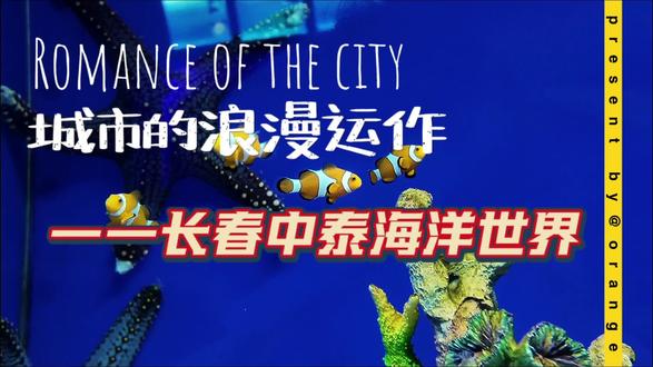 藏在城市中的蓝色童话🐬 #真实生活分享计划 深蓝不尽,浪漫不休,一场属于你自己的深蓝独处!#海洋馆 #亲子 #灯光下的水母世界 #长春 @DOU+小助手