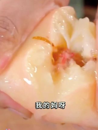 奶油蟠桃,口感香甜多汁,吃起来又脆又甜,真的很好吃,喜欢的朋友赶紧下单吧!#奶油蟠桃 #新鲜采摘 #脆甜多汁 #快来一起尝个鲜#优质农产品