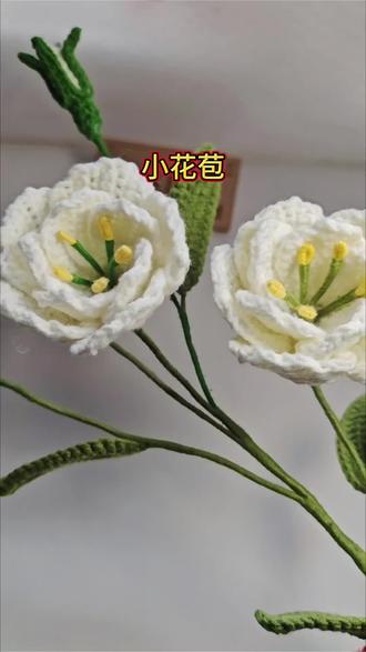 洋桔梗花苞钩织教程!图解群内已发!#花朵钩织教程 #创作者中心 #创作灵感 #手工钩织小花束 #钩织小花束