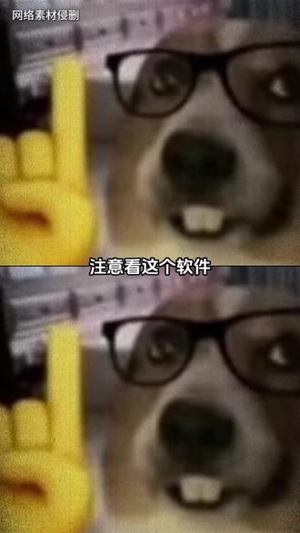 注意看这个千问 #阿里千问 #国产AI #拍搜 #混剪 #AH