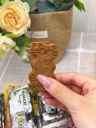 健康休闲就选它!黄油猫酪芝士曲奇,追剧充饥、早晚解馋好帮手。