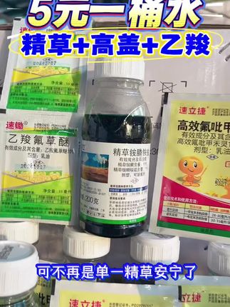 田埂果园茶园除草想要烂叶烂根就用精草➕甲禾灵➕乙羧5元一桶水 #精草铵膦铵盐 #田埂除草#果园除草#荒地除草#茶园除草