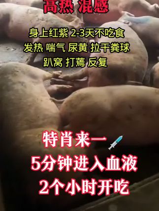 #养猪人不容易#养猪人加油干 #养猪人的日常生活 #养猪