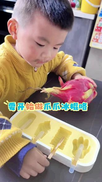 制作爪爪冰棍就是这么简单~