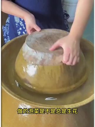 泡酸菜酸脆爽口才好吃,就是用这个菌粉,三到四天就可以吃了#泡菜 #酸菜