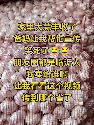 正宗苍山大蒜 可吃可种植#优质农产品 #大蒜 #返乡创业青年 #原产地