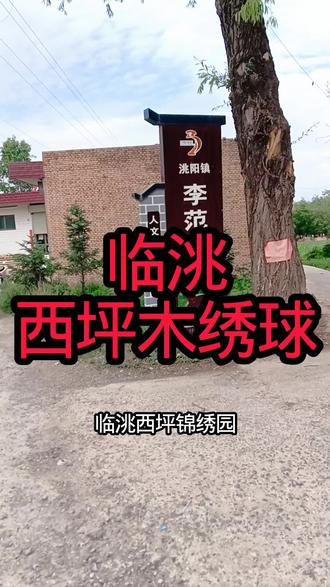 临洮西坪木绣球#科普#天文地理#临洮老王的快乐生活