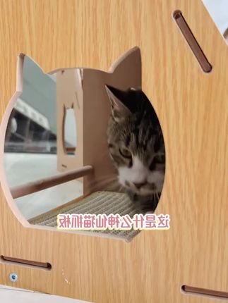 买了一个猫抓板就不用再买猫窝了,把省下来的钱给你家猫主子买罐罐它不香吗#猫窝瓦楞纸#猫抓板耐用