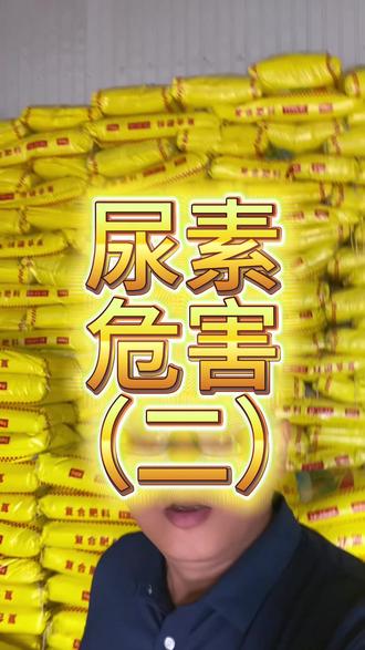 尿素烧根烧苗是为什么呢?#恒丰化肥 #老陈说农 #施麟瑞水溶肥 #尿素