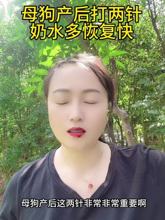 母狗#狗#狗狗#母狗 #狗狗的心思都写在脸上了