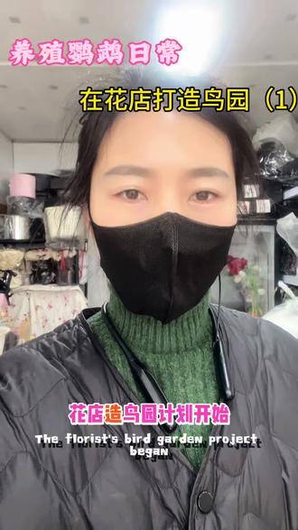 #真实生活分享计划 花店造鸟园计划开始动工🥳#鹦鹉日常 #日常vlog #改造计划#创作者中心