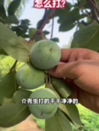 #正能量#正能量传递#正能量上热榜#一念江南官宣#李羲承让粉丝闭眼