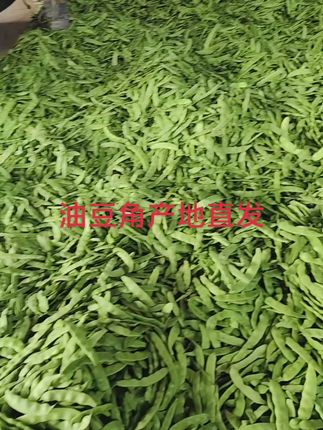#豆角 #产地直发