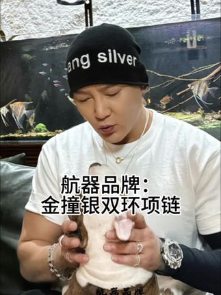#李桢航 #李桢航vlog #航器品牌 #银项链