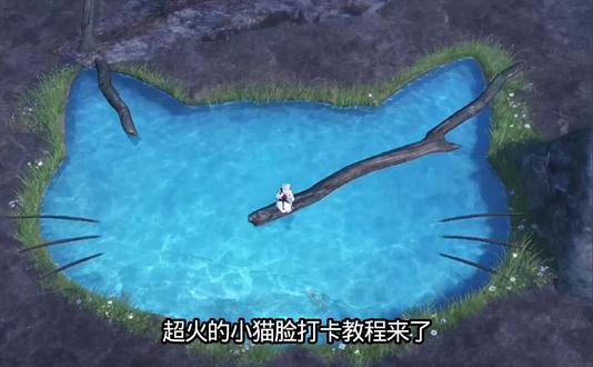 猫脸水池打卡教程来了!#火山水池打卡