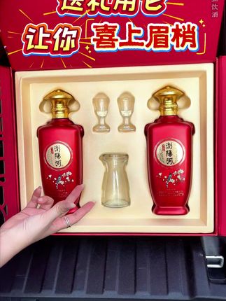 男人可以不开豪车,但后备箱要常备一款好酒#浏阳河 #送礼佳品 #浓香型白酒 #口粮酒推荐 #52度白酒