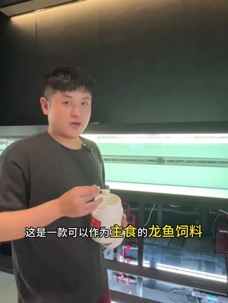 可以作为龙鱼主食的增色饲料