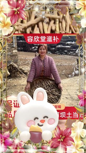 来自高山高海拔的甜当归土当归#源头好生鲜 #只做高品质 #寻个地道味 #大凉山甜当归 #土当归