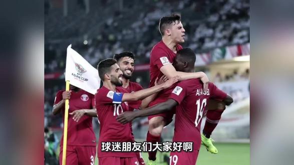 爱尔兰vs卡塔尔