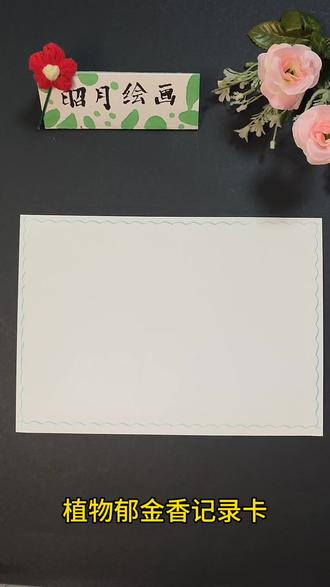 植物郁金香记录卡#每日一画#手抄报#植物记录卡#郁金香#手抄报作 #每天跟我涨知识