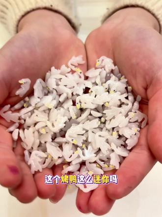 迷你小烤鸭玩具 #变色烤鸭 #过家家玩具 #夜光玩具