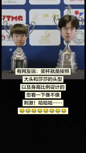 看一下到底像不像!哈哈哈…… #王楚钦彻底落后的时候放手一搏 #回顾多哈世乒赛王楚钦表现 #王楚钦采访谈马龙樊振东 #国乒5人获国际级运动健将称号 #王楚钦孙颖莎