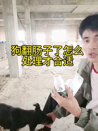 10月一前后狗狗都会经历一次大劫难。狗狗驱虫就用荟清清#养狗新手 #养狗小技巧 #养狗日常 #养狗人 #养狗日记