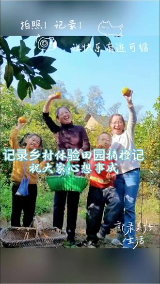 有机种植的橙子成熟啦!大丰收的季节,有需要的请联系