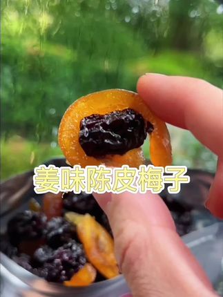 快!都去给我买这个梅子!说不清是辣是酸还是甜,但混合在一起就是莫名和谐,口感超级立体。我已经安利给整个办公室了,反馈都超好! #零食试吃员 #网红零食 #开袋即食 #潮汕特产 #好吃到停不下来