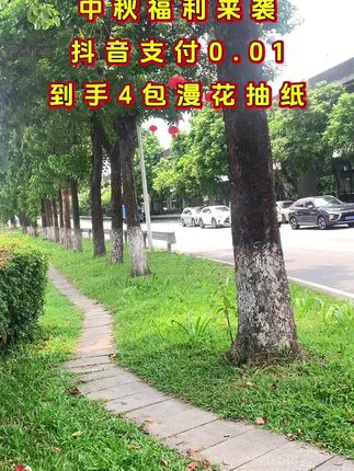 #超便宜超划算 #好用的大包纸巾推荐 #无限回购的宝藏单品 #自用好物推荐 #在抖音入手的好东西 @抖加🔥上热门🔥dou+🔥热点宝 @DOU+小助手 @DOU+上热门