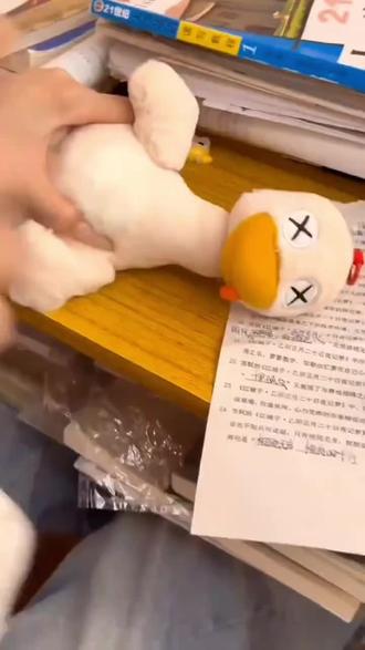 可拆卸磁吸拼装盐水鸭玩偶拼好鸭磁吸可拆分公仔玩具#拼好鸭#磁吸盐水鸭#可拆分玩偶#搞怪毛绒玩具#创意公仔礼物