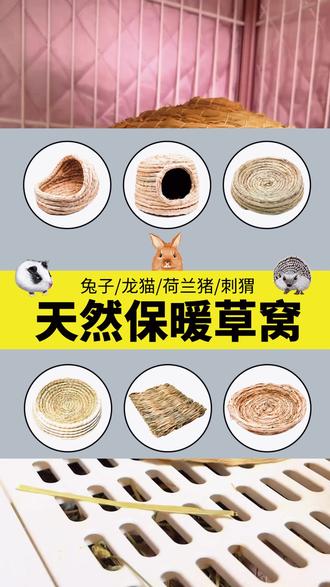 家人们,给家里的兔兔和荷兰猪安排这款草窝呀!草编材质,保暖又防咬,还是个躲避小窝,让宝贝们安全感满满,超实用!
#保暖躲避屋 #荷兰猪窝 #荷兰猪屋 #防咬草窝 #保暖宠物窝