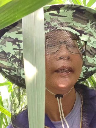 甘蔗叶划伤的口子,汗水渗进去真的火辣辣的难受,有了这个帽子再也不用受那个苦啦#甘蔗 #防蚊虫#防划伤