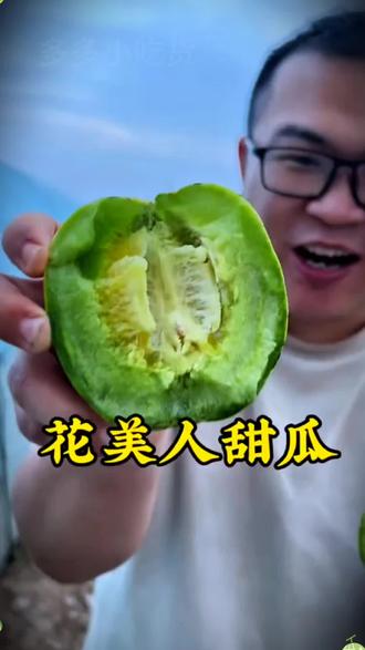 花美人甜瓜 花美人甜瓜|花纹美、果肉脆、糖度18°,一口爆汁#花美人甜瓜#八里香甜瓜 #好吃的水果#甜瓜