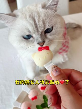 小西米是只淘气喵